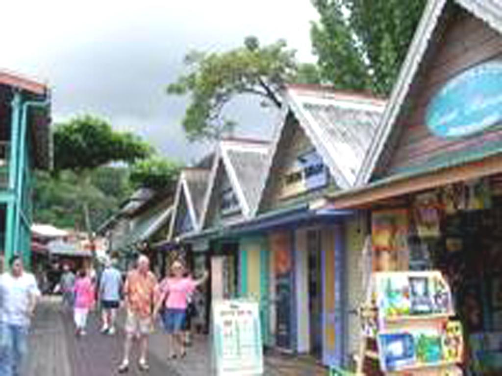 Sky Castles Apt J3 Ocho Rios Eksteriør billede